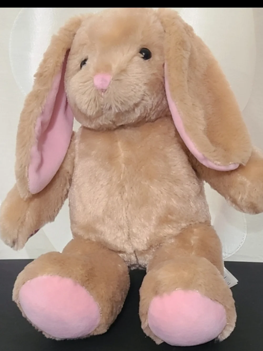 Build a Bear Brown Rabbit 15